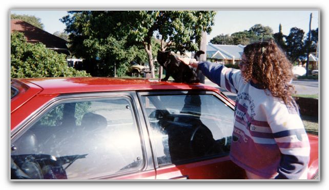 MJ with cat